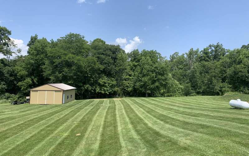 best lawn mower