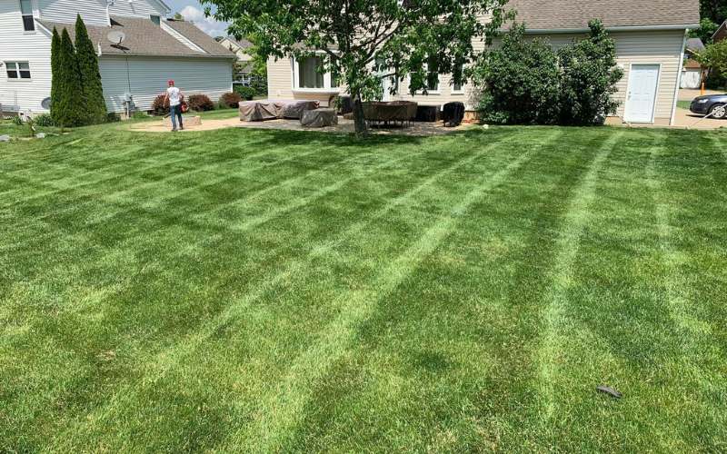 lawn mowing service in Marysville